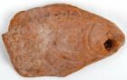 Egypto-Roman Period. Alexandria, circa 2nd-3rd century Terracotta Toy Fish - 2