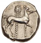 Sicily, Uncertain Siculo-Punic mint. Silver Tetradrachm (17.14 g), ca. 340-320 B - 2