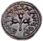 Judaea, The Jewish War. Silver Shekel (14.26 g), 66-70 CE - 2