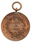 Award Medal from the Finnish Agricultural Society, nd (instituted in 1857). Choi - 2