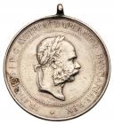 Rusyn Award Medal for the Breeding of Horses, nd (1890). VF