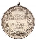 Rusyn Award Medal for the Breeding of Horses, nd (1890). VF - 2