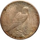 1928 Peace $1 PCGS MS64 - 2