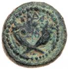 Tiberius. AE (2.77 g), AD 14-37 Choice VF - 2