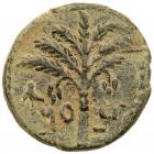 Judaea, Bar Kokhba Revolt. AE Medium Bronze (11.60 g), 132-135 CE Choice VF - 2