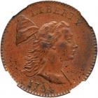 1794 S-18b R4 Head of 1793 NGC graded MS61 Brown