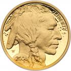 2008-W $10 American Gold Buffalo Proof Coin