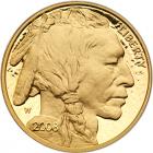 2008-W $50 American Gold Buffalo Proof Coin