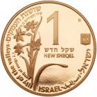 Israel. New Sheqel, 1992 Choice Brilliant Proof