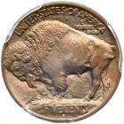 1913-D Buffalo 5C. Type 1 PCGS MS66 - 2