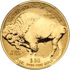 2013-W $50 American Buffalo - 2