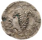 Judaea, Bar Kokbha Revolt. Silver Zuz (3.47 g). 132-135 CE.