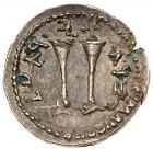 Judaea, Bar Kokbha Revolt. Silver Zuz (3.47 g). 132-135 CE. - 2