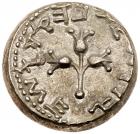 Judaea, The Jewish War. Silver Shekel (13.64 g), 66-70 CE. - 2