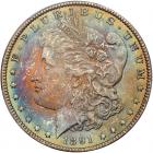 1891 Morgan $1 PCGS MS65