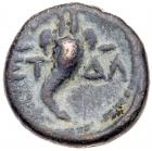 Judaea, Herodian Kingdom. Agrippa II. AE (1.63 g), 56-95 CE VF - 2