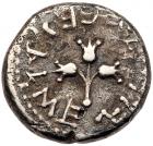 Judaea, The Jewish War. Silver 1/2 Shekel (6.34 g), 66-70 CE About VF - 2