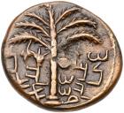 Judaea, Bar Kokhba Revolt. AE Medium Bronze (9.88 g), 132-135 CE Fine