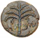 Judaea, Bar Kokhba Revolt. AE Medium Bronze (10.95 g), 132-135 CE Choice VF