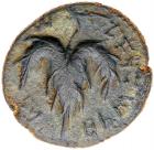 Judaea, Bar Kokhba Revolt. AE Medium Bronze (10.95 g), 132-135 CE Choice VF - 2