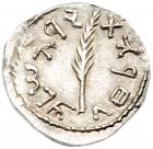 Judaea, Bar Kokhba Revolt. Silver Zuz (3.32 g), 132-135 CE EF - 2