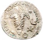 Judaea, Bar Kokhba Revolt. Silver Zuz (3.33 g), 132-135 CE Choice VF