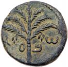 Judaea, Bar Kokhba Revolt. AE Medium Bronze (10.64 g), 132-135 CE Superb EF