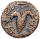 Judaea, Bar Kokhba Revolt. AE Small Bronze (6.07 g), 132-135 CE VF