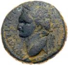 Judaea, Roman Judaea. Domitian. AE (12.16 g), AD 81-96 VF