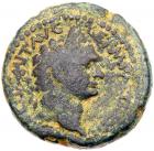 Judaea, Roman Judaea. Domitian. AE (11.22 g), AD 81-96 About VF