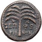 Galilaea, Sepphoris. Trajan. AE (8.84 g), AD 98-117 VF - 2