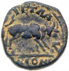 Arabia Petraea, Petra. Elagabalus. AE (5.52 g), AD 218-222 VF - 2