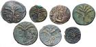7-piece lot of Bar Kokhba Bronzes