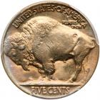 1930 Buffalo 5C PCGS MS64 - 2