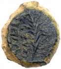 Judaea, Hasmonean Kingdom. John Hyrcanus I (Yehohanan). Ã 1/2 Prutah (1.15 g), 134-104 BCE