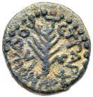 Judaea, Herodian Kingdom. Herod III Antipas. AE Quarter (3.00 g), 4 BCE-39 CE Ne - 2