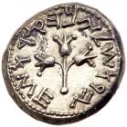 Judaea, The Jewish War. Silver Shekel (13.86 g), 66-70 CE Superb EF - 2