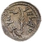 Judaea, Bar Kokhba Revolt. Silver Zuz (3.17 g), 132-135 CE EF - 2