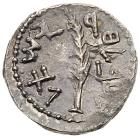 Judaea, Bar Kokhba Revolt. Silver Zuz (3.18 g), 132-135 CE About EF - 2