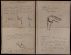 von Volkmann, Richard -- Handwritten Notes & Sketches For an 1888 Lecture