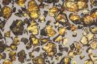 Large, 201 Gram Esquel, Considered The Most Beautiful Pallasite