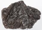 Large 4 1/2 Pound Sikhote-Alin Transitional Type Meteorite