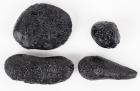 Set of Four Major Shapes of Indochinite Tektites