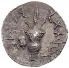 Bar Kokhba Revolt, 132-135 CE. AR Sela (13.76 g) Choice VF - 2