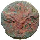 Skythia, Olbia. Cast AE (70mm, 102.06 g), ca. 437-410 BC EF - 2