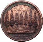 Medal. Bronze. 44.5 mm. By P. Mescheryakov. On the Death of Emperor Peter II, 1730. - 2