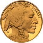 2007-W $50 American Gold Buffalo