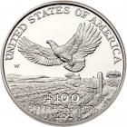 2000-W $100 American Platinum Eagle - 2