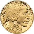 2006 American Buffalo $50.00 1 ozt Gem Proof