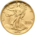 CENTENNIAL GOLD - 2016-W Walking Liberty Half Dollar (2)